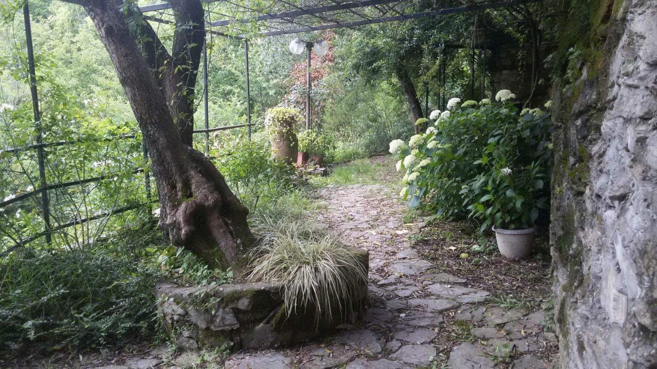 Il Giardino Delle Ortensie Apartment Salto Chiesa Екстериор снимка